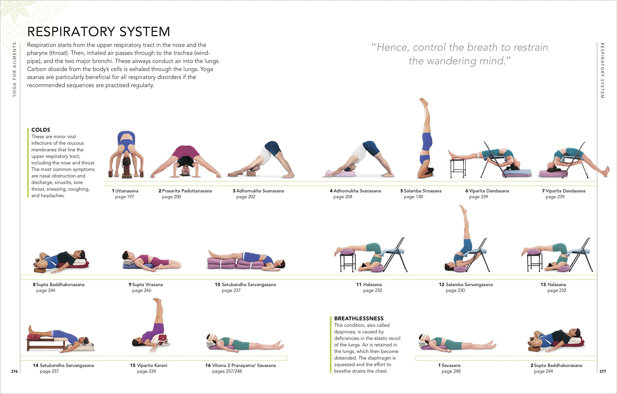 B.K.S. Iyengar Yoga The Path to Holistic Health