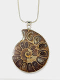 Fossiler Ammonit-Anhänger